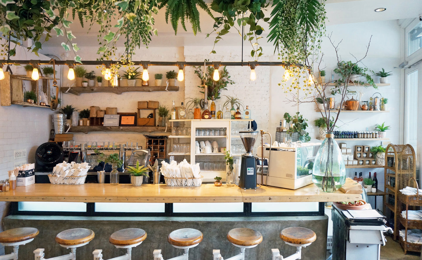 Portfolio Hero Image